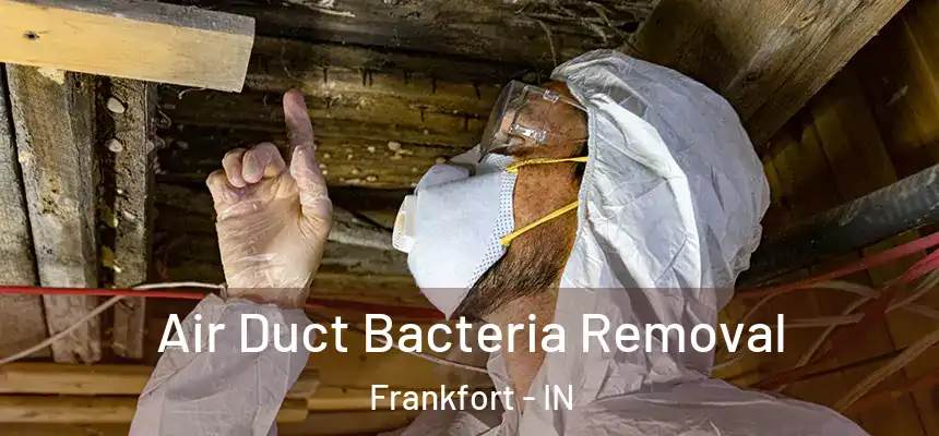  Air Duct Bacteria Removal Frankfort - IN