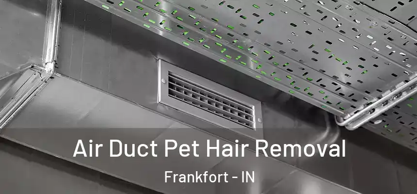  Air Duct Pet Hair Removal Frankfort - IN
