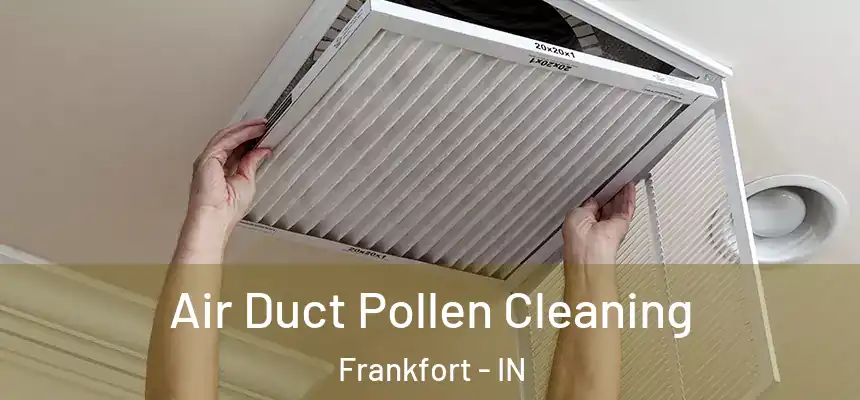  Air Duct Pollen Cleaning Frankfort - IN