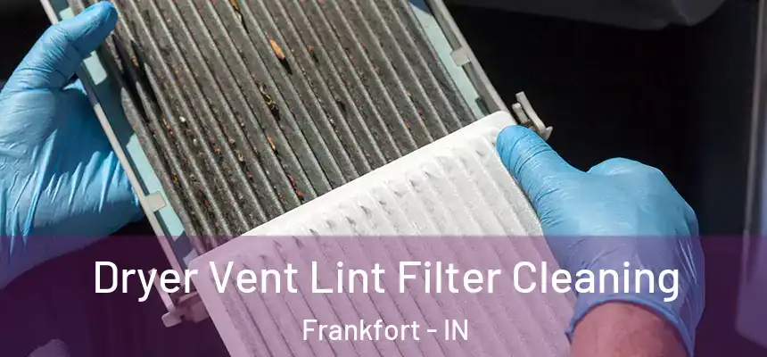  Dryer Vent Lint Filter Cleaning Frankfort - IN