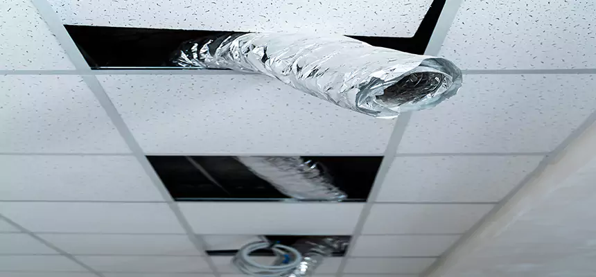 Our Air Duct Pet Hair Removal Services in Frankfort, IN