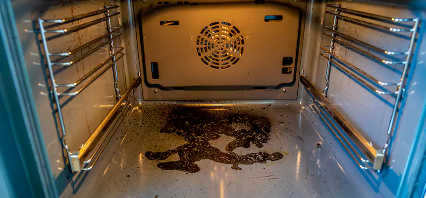 Our Dryer Vent Mold Cleaning Services in Frankfort, IN