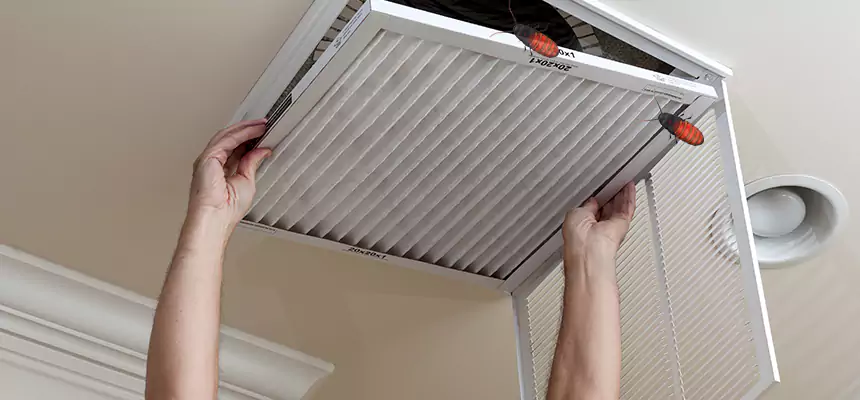 Our Insect Removal from Air Ducts Services in Frankfort, IN