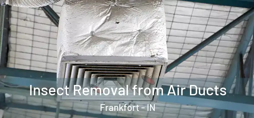  Insect Removal from Air Ducts Frankfort - IN
