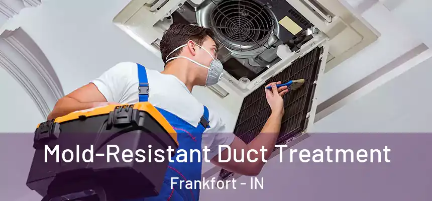  Mold-Resistant Duct Treatment Frankfort - IN